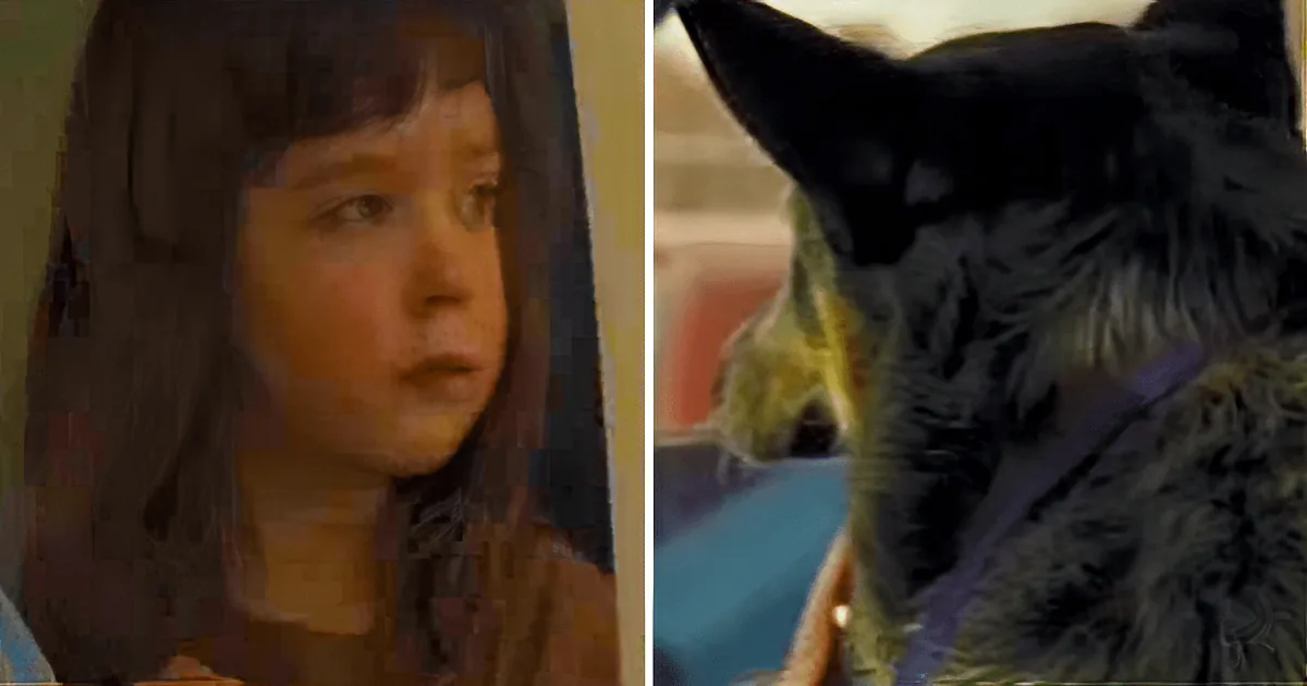 Toddler Wanders Into the Woods to Find Her Dog: 15 Hours Later...