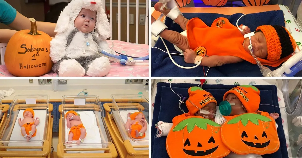 Premature babies dressed in Halloween costumes, including pumpkins and bunnies, in a hospital setting.