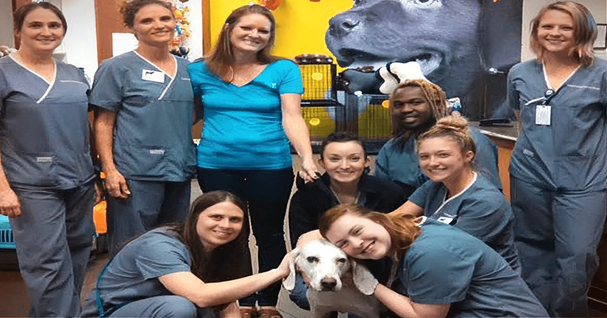 A group of people in scrubs poses with a dog in a veterinary clinic setting.
