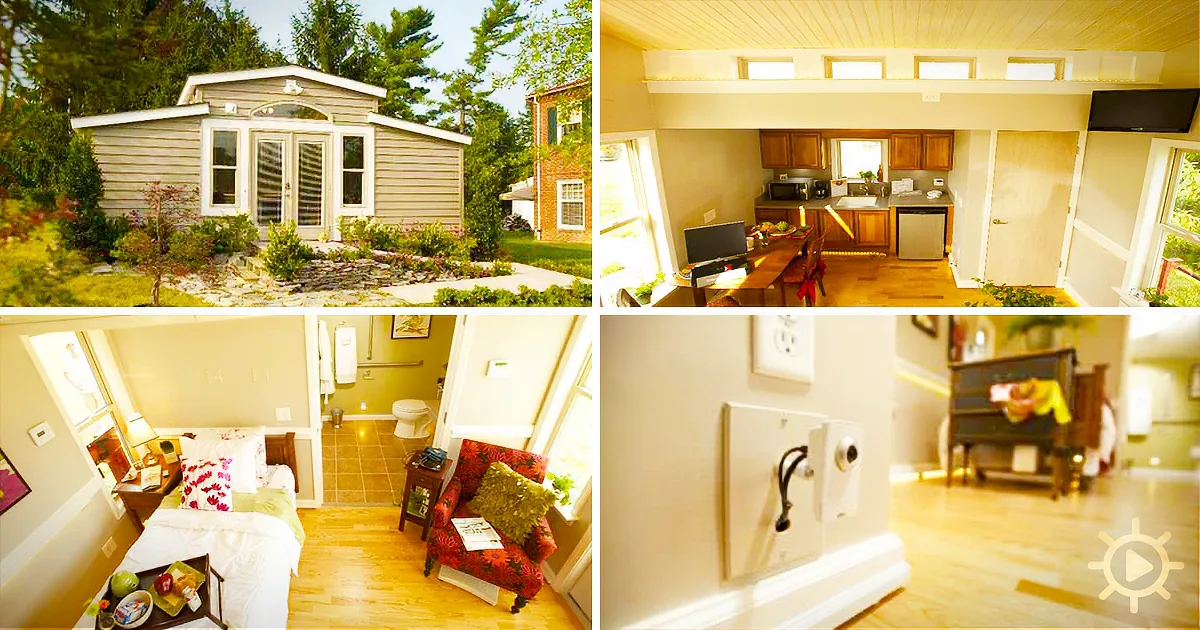 A cozy, compact house with a bedroom, kitchen, and living area, surrounded by greenery.