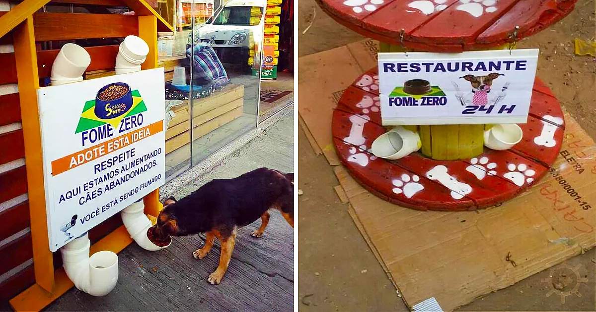 A dog eats from a food dispenser at a "Fome Zero" (Hunger Zero) initiative, with a sign promoting adoption and respect...