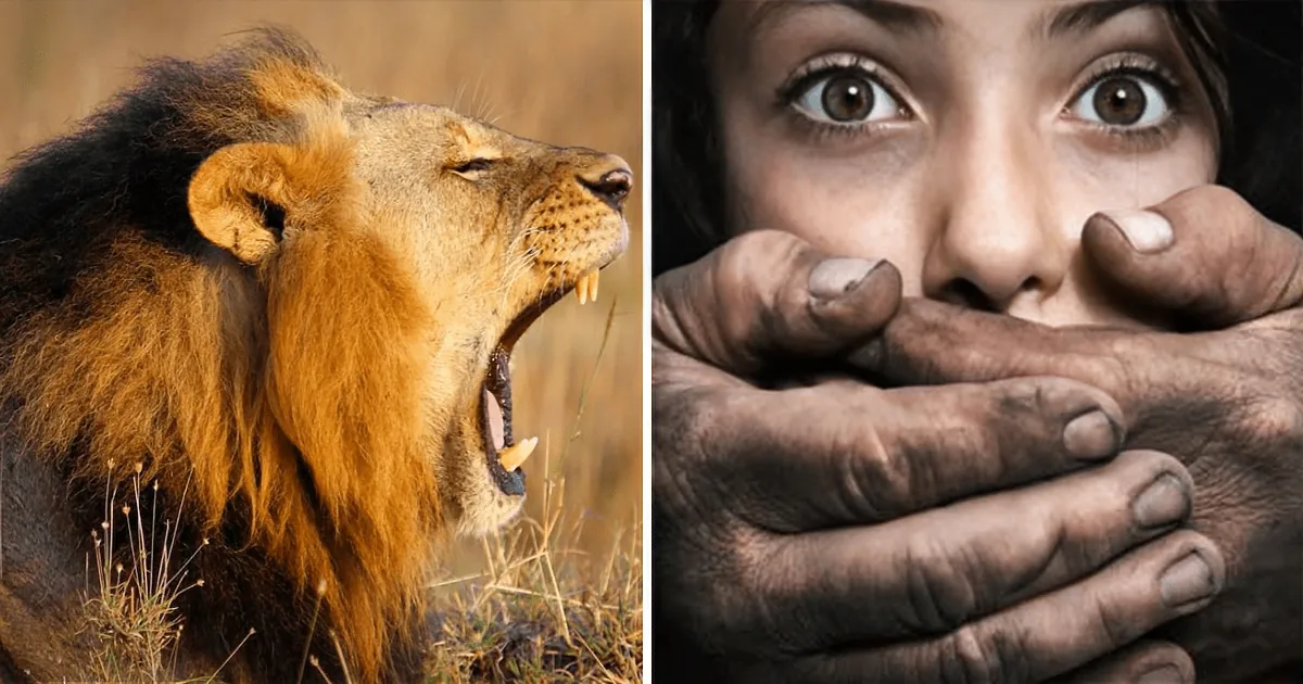 A lion roars on the left, while a person's face is obscured by hands on the right.