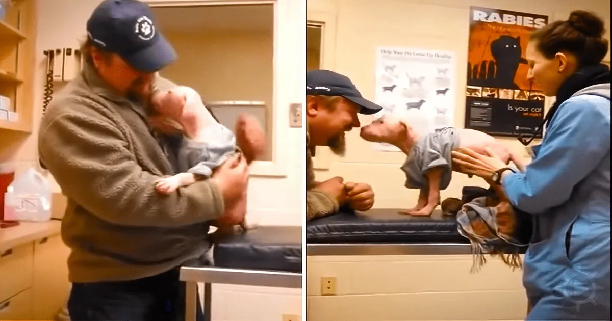 Puppy Gets New Owner -- Now Watch When He Turns Around and Realizes Who It Is