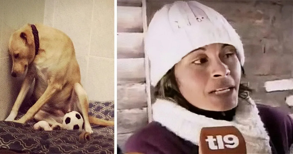 A dog sits on a bed with a soccer ball, while a person in a white hat and scarf looks to the side.