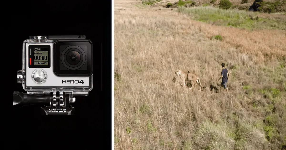 Man Attaches GoPro to Lioness After Saving Her Life, Then Unafraid He Gets up Close