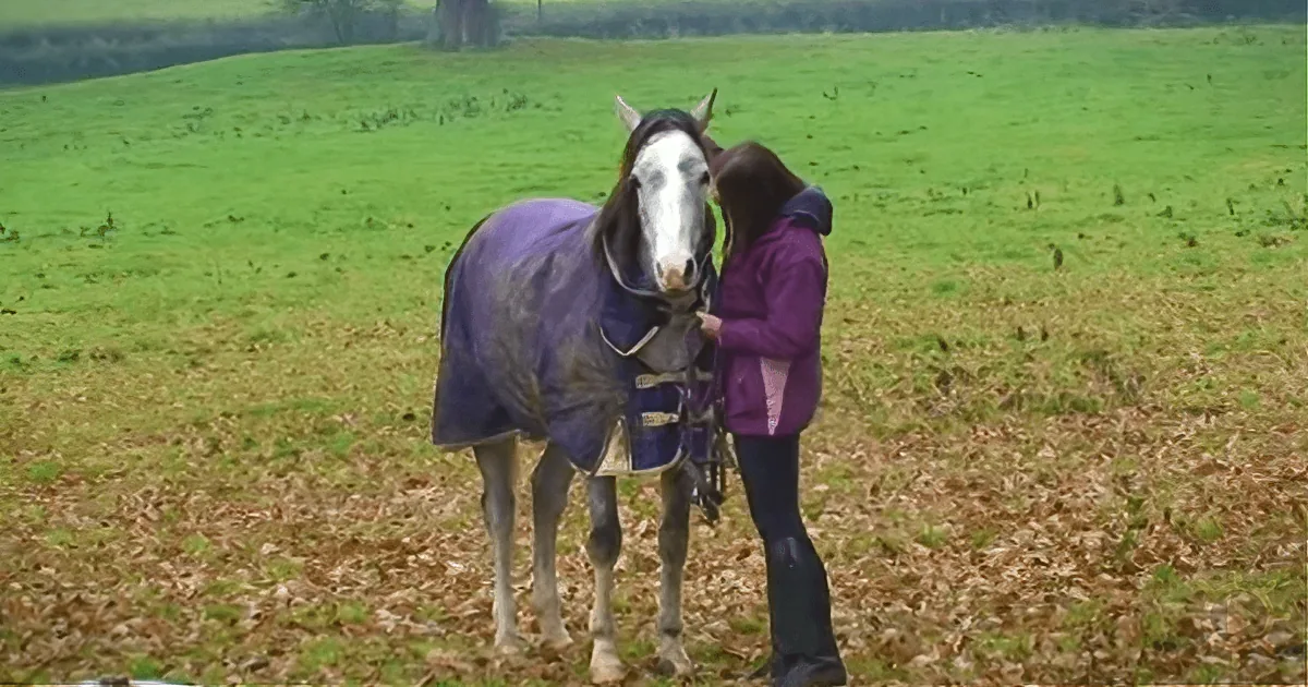 Horse and Human Reunite After Being Apart. Watch as the Horse''s Reaction Goes Viral