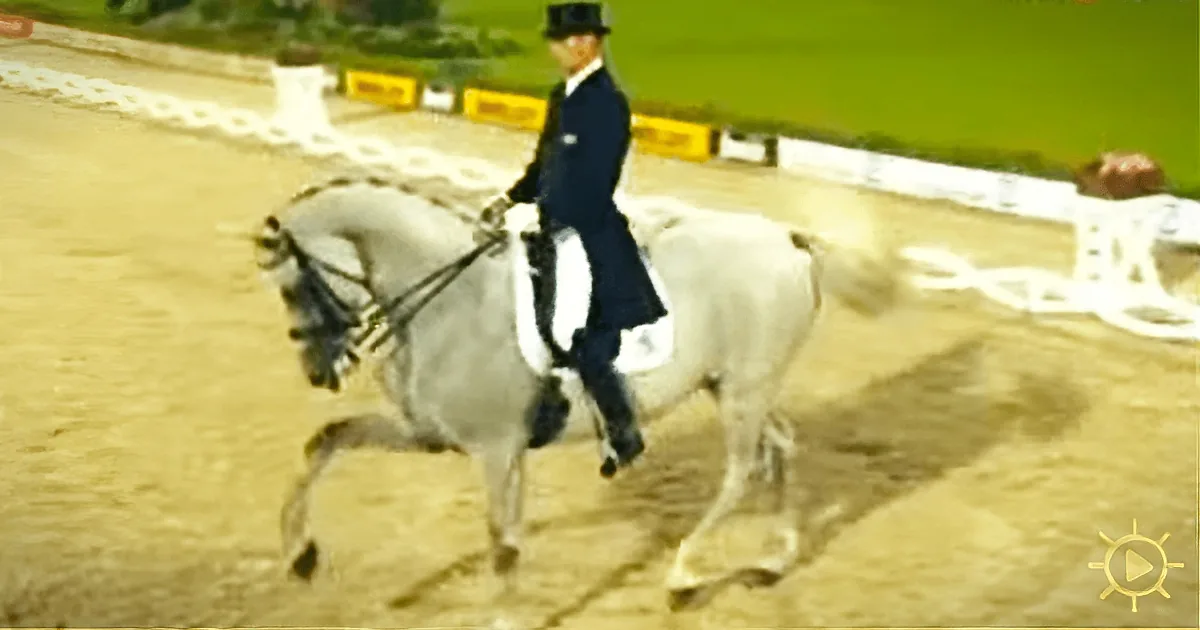 They Say That Pigs Can''t Fly, but Horses... They Can Definitely Dance!