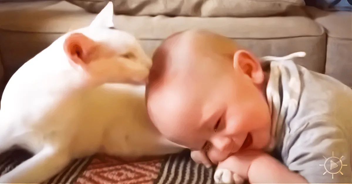 A baby is sleeping peacefully with a white cat lying beside them on a bed.
