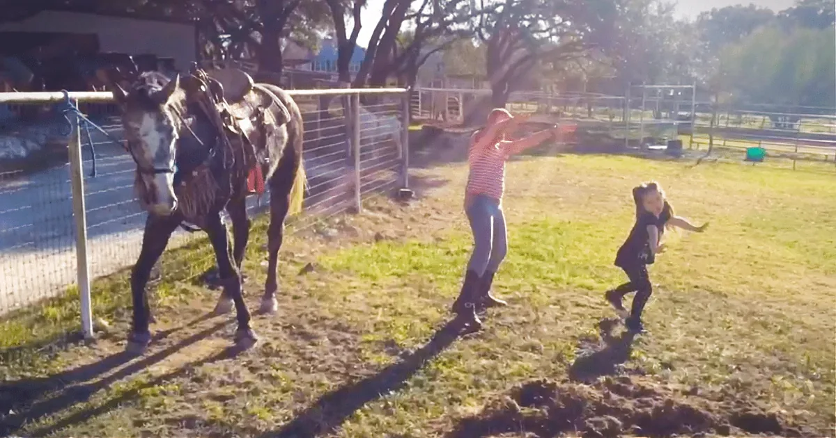 Little Girls Start Dancing to a Known Song, but the Star Is the Horse, Really