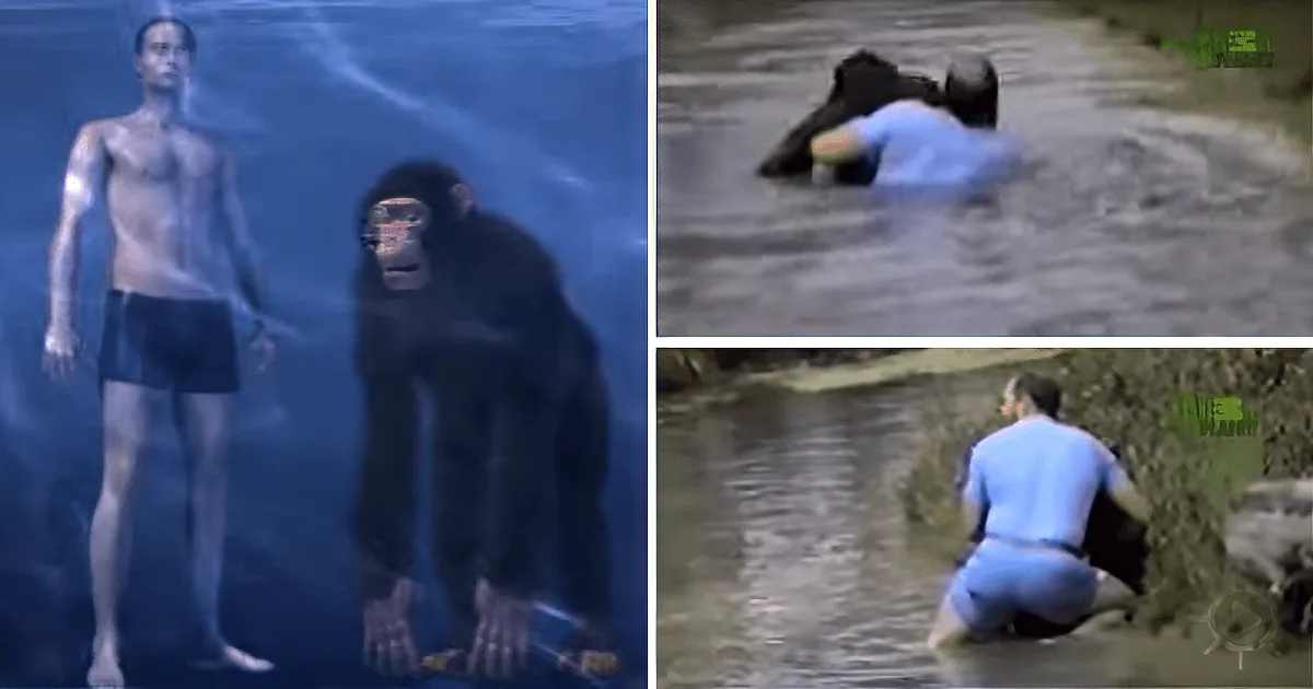 A man and a monkey are in water, with the man appearing to be in distress while the monkey looks on.