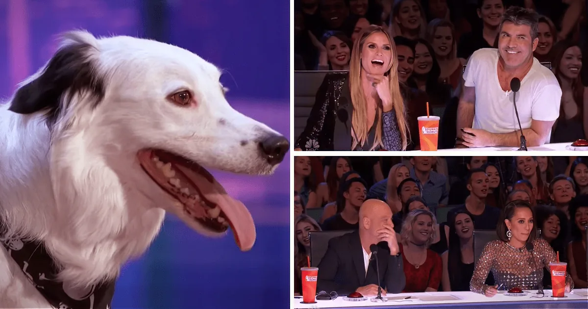 AGT Performer Thought She Was Going Home - Then Simon Cowell Did This