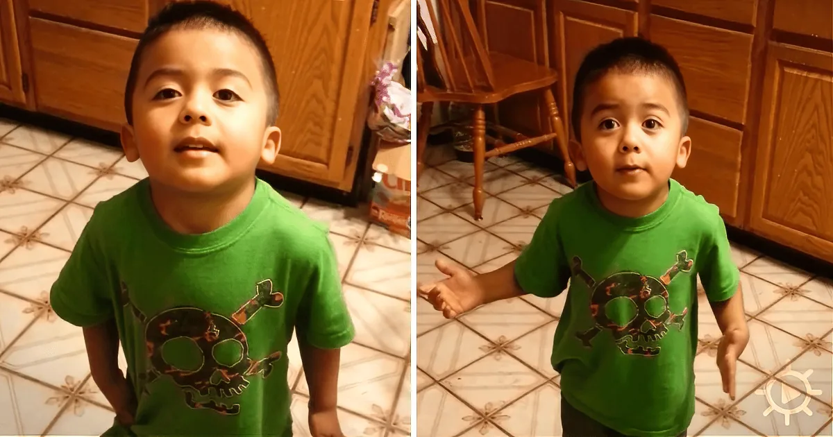 Mom Captures on Video Her Little Son Trying to Make His Case. so Funny!