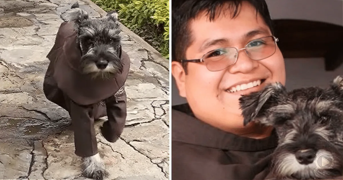 Dog Is Lost and Then Found... by Franciscan Monks. Soon He''s Wearing a Robe!