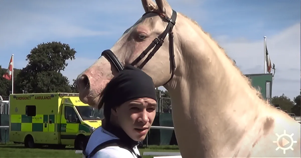 A man in a black beanie stands next to a white horse, with an ambulance and flags in the background.