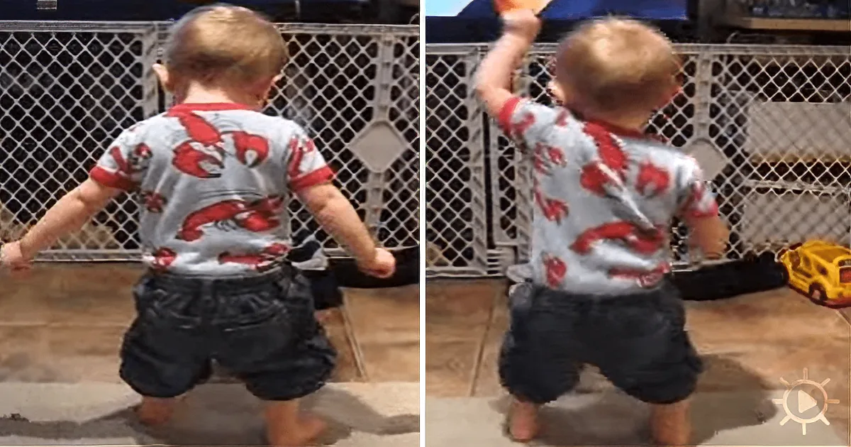 Only 16 Months Old, He Busts out All the Right Moves When He Hears This Song