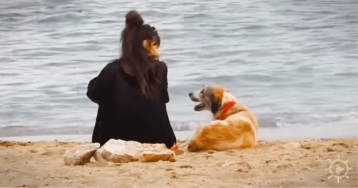 There Was Just Something Special About the Stray Dog She Saw at the Beach