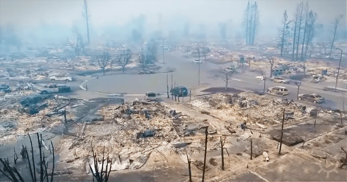 A Man Flies His Drone Over a Burnt Down Neighborhood and Discovers a Mailman With a Plan!