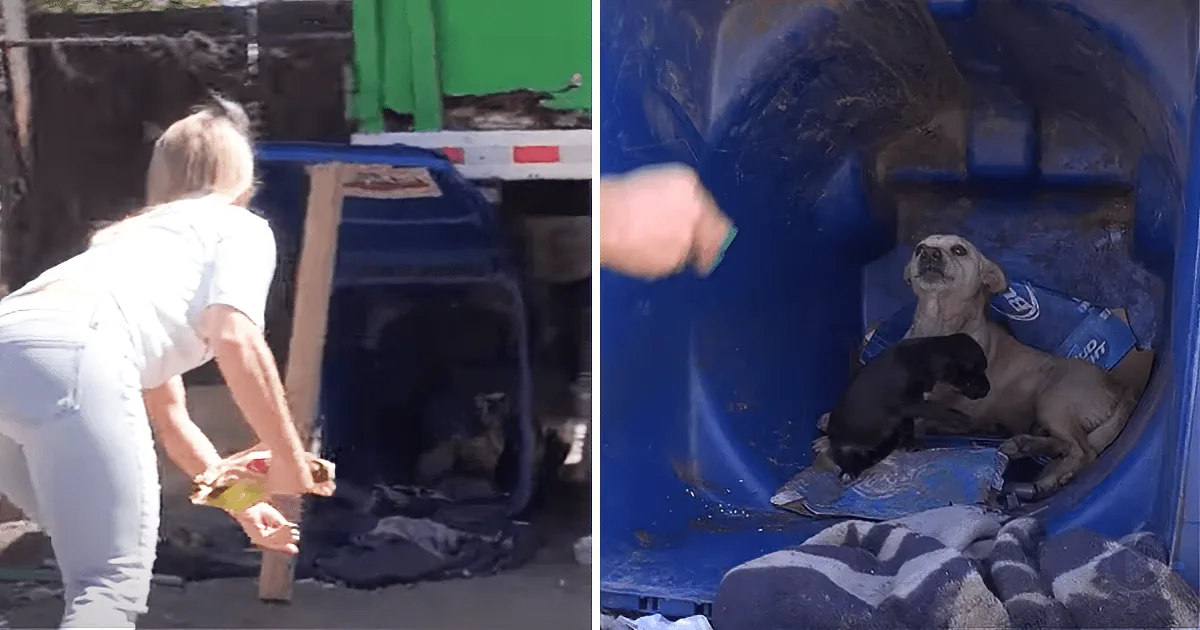 A woman bends over to help a dog and a puppy in a blue trash bin.