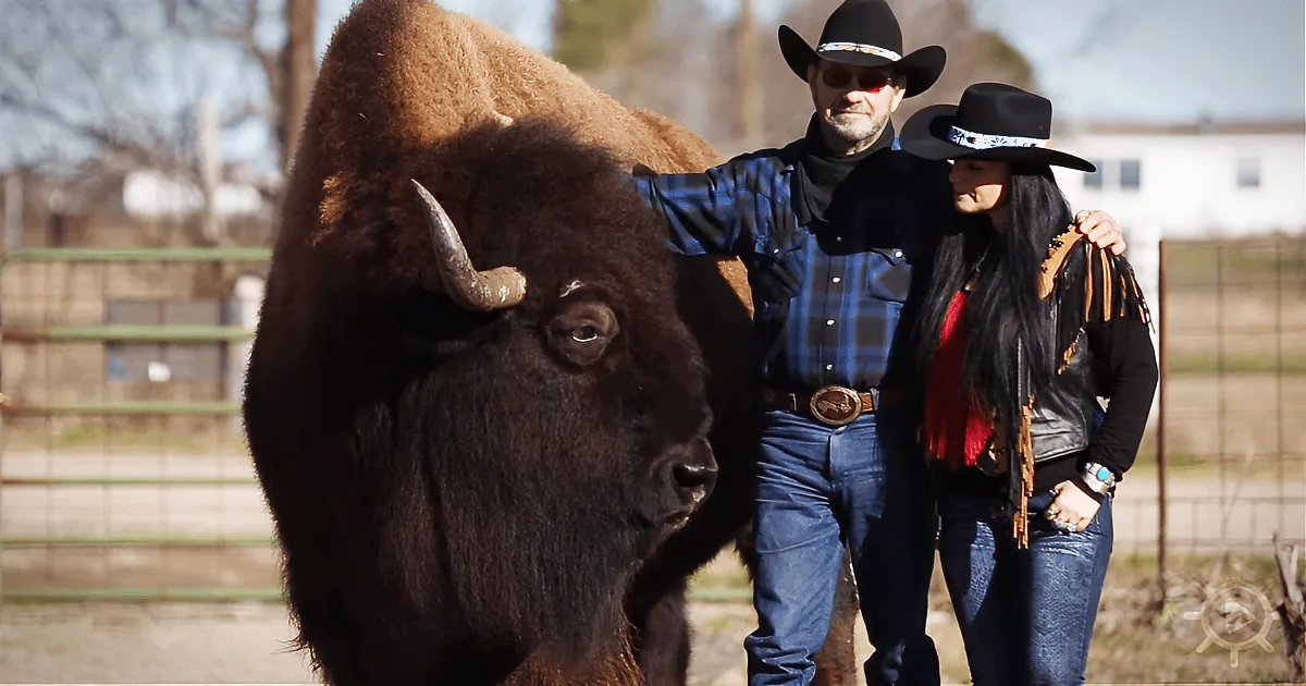 Did You Remember to Let the Buffalo out? Meet the World''s Largest House Pet