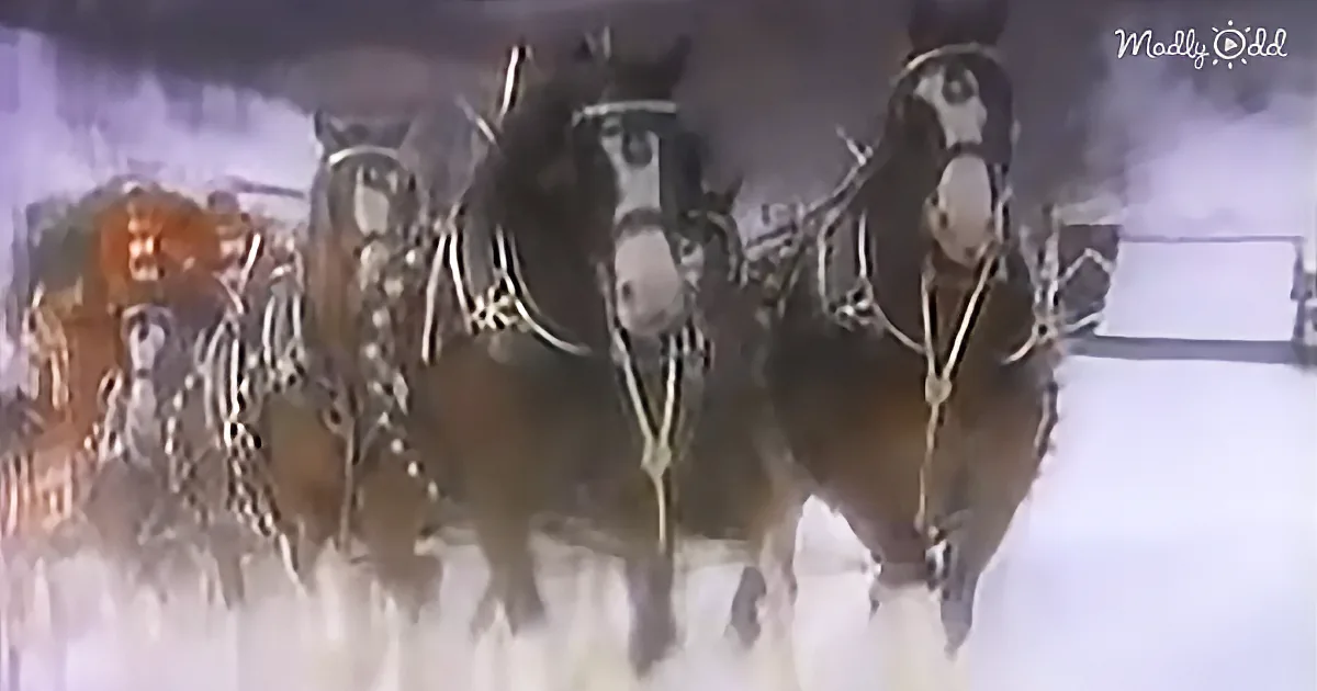 This Budweiser Christmas Commercial From 1987 Will Bring Back Memories and Leave You Smiling