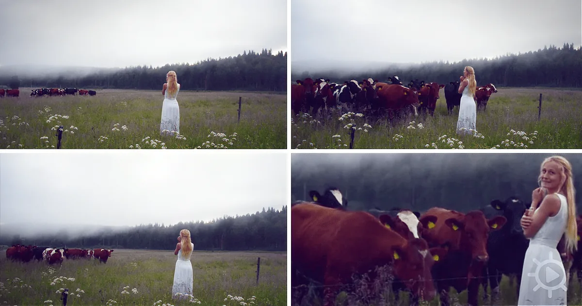 A woman in a white dress stands in a field surrounded by cows and misty trees.