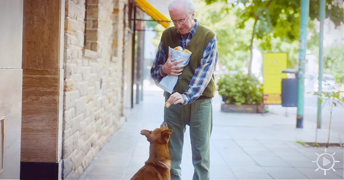 Loyal Dog Chases Ambulance to the Hospital. Then There''s an Emotional Twist