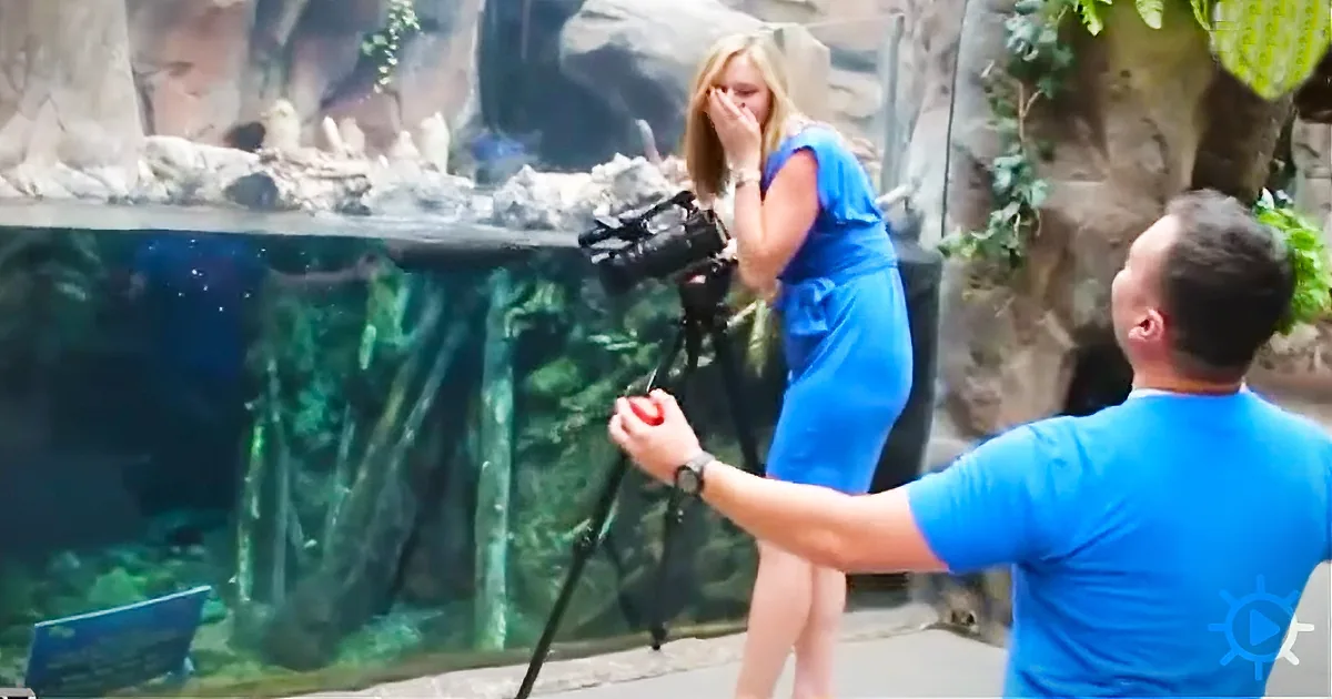 Woman Films Otters at a Zoo - What Happened Next Is Hilarious
