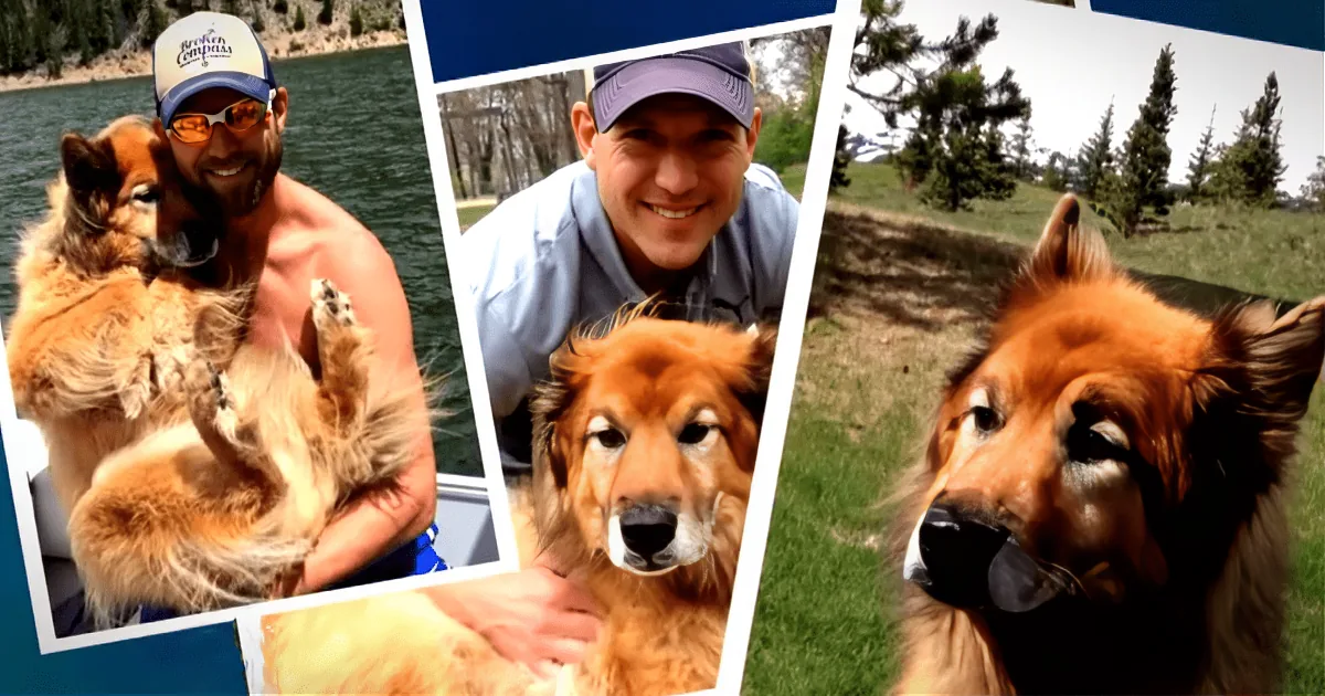 A Surprise Tribute to Dr Travis'' Faithful Friend - What He Does Will Have You in Tears