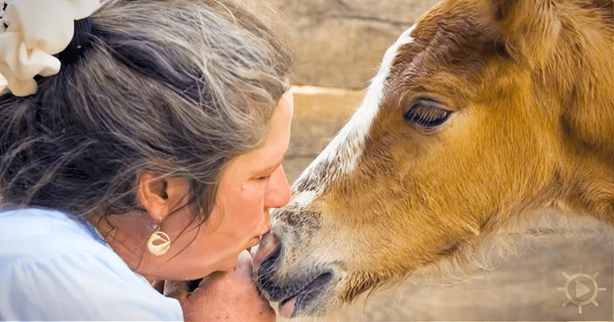 Uncertain Destiny for Unwanted Racing Foals