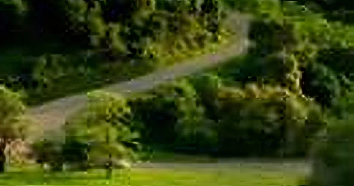 Car Ad Never Aired: a Ghostly Presence Caught on Camera Freaked Everyone Out