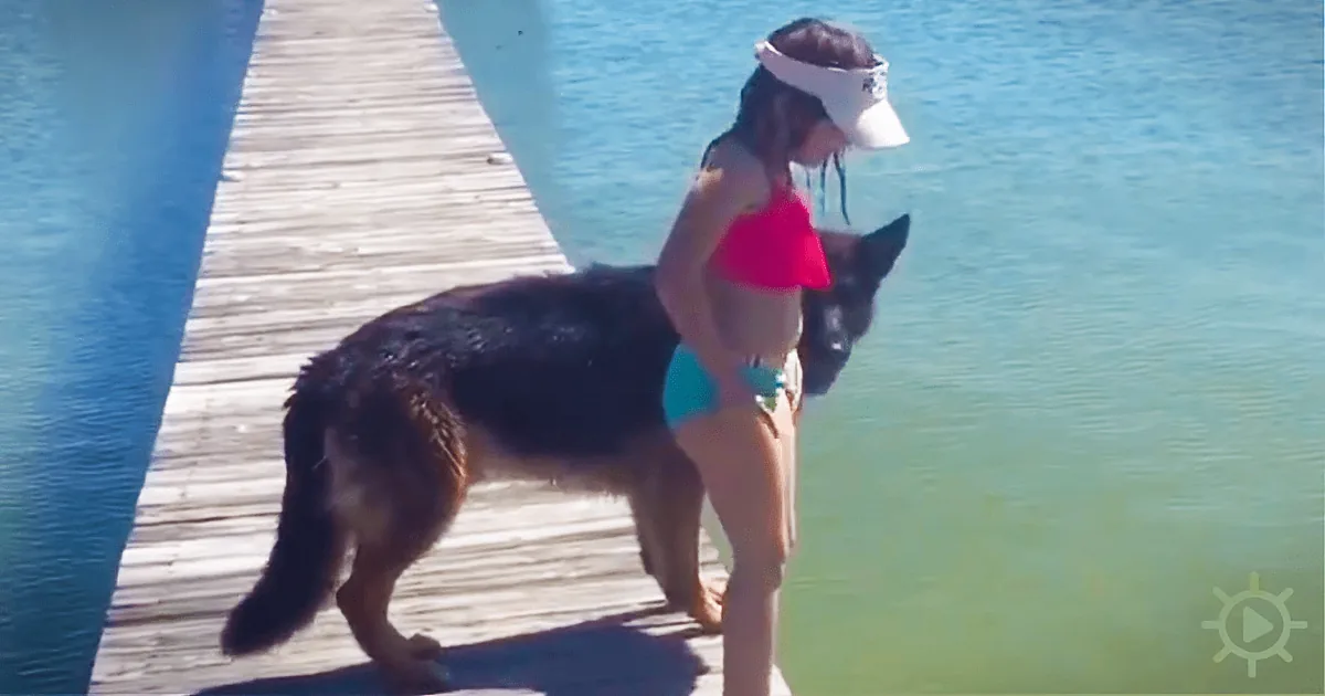 Little Girl Has Her Own Personal Lifeguard: a German Shepherd!