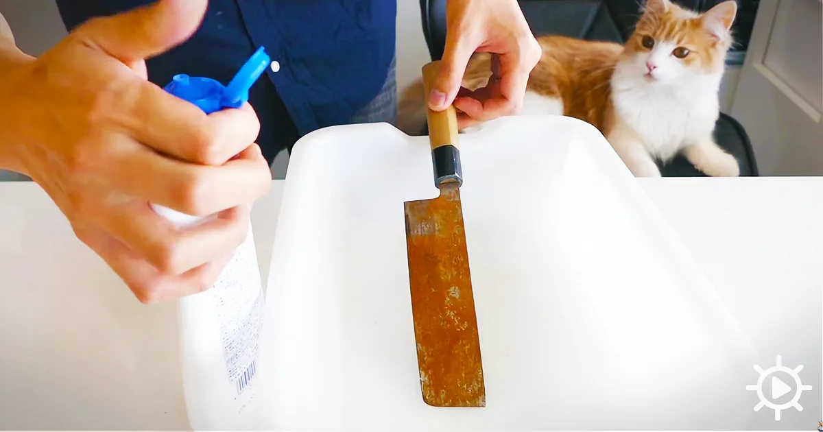The Seller Thought He Ripped Him off With a $3 Knife. Wait ''Till You See What It Looks Like Now!