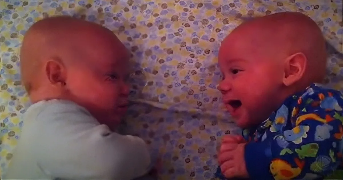 Do You Speak Twin? Watch Adorable Twin Boys Converse in Their Secret Language