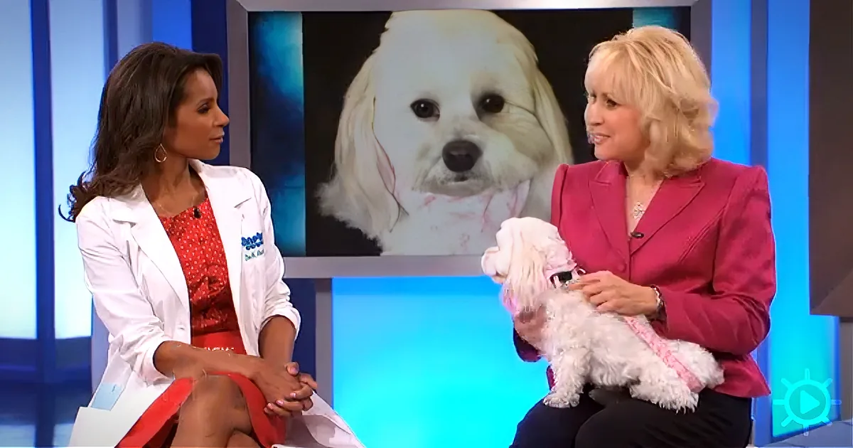 Woman in pink holds small white dog on talk show set with another woman in lab coat.