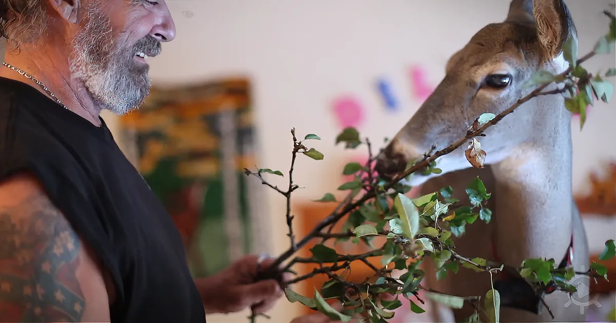 A man with a beard and tattoos holds a branch with leaves, feeding a deer.