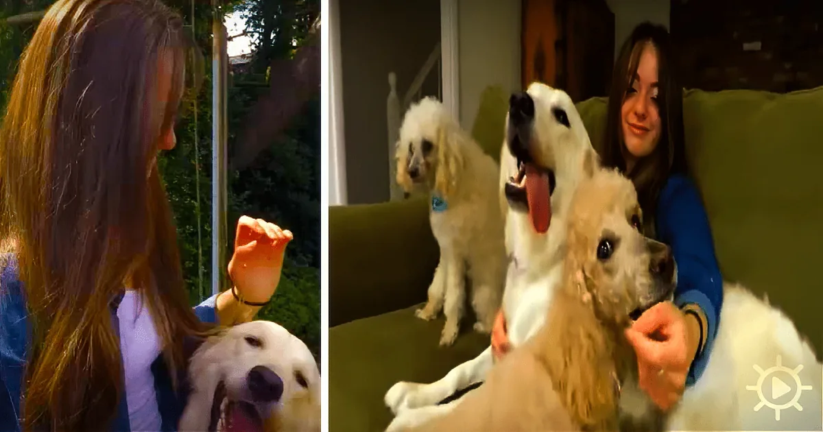 19-Yr-Old Sleeps With Her Dogs Every Night, Goes Into Shock When She Discovers the Truth