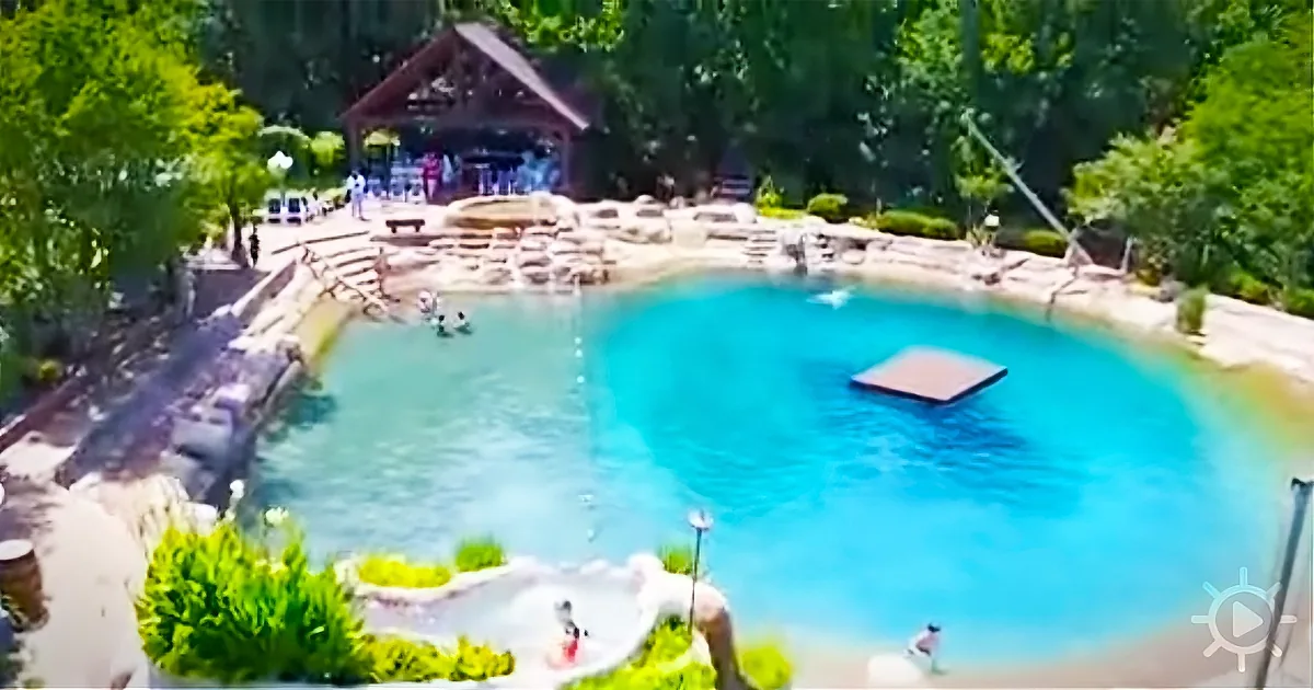 A serene pool surrounded by lush greenery and a wooden pavilion in the background.