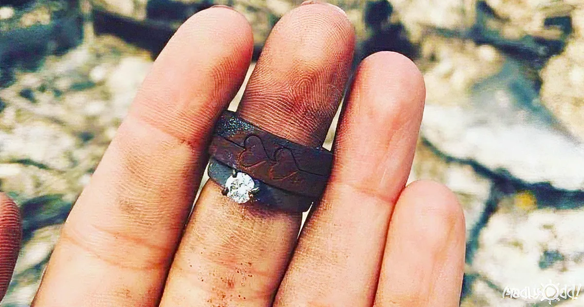 Their Home Burns Down During a Wildfire. Next Day, They Find Their Treasure in Ashes