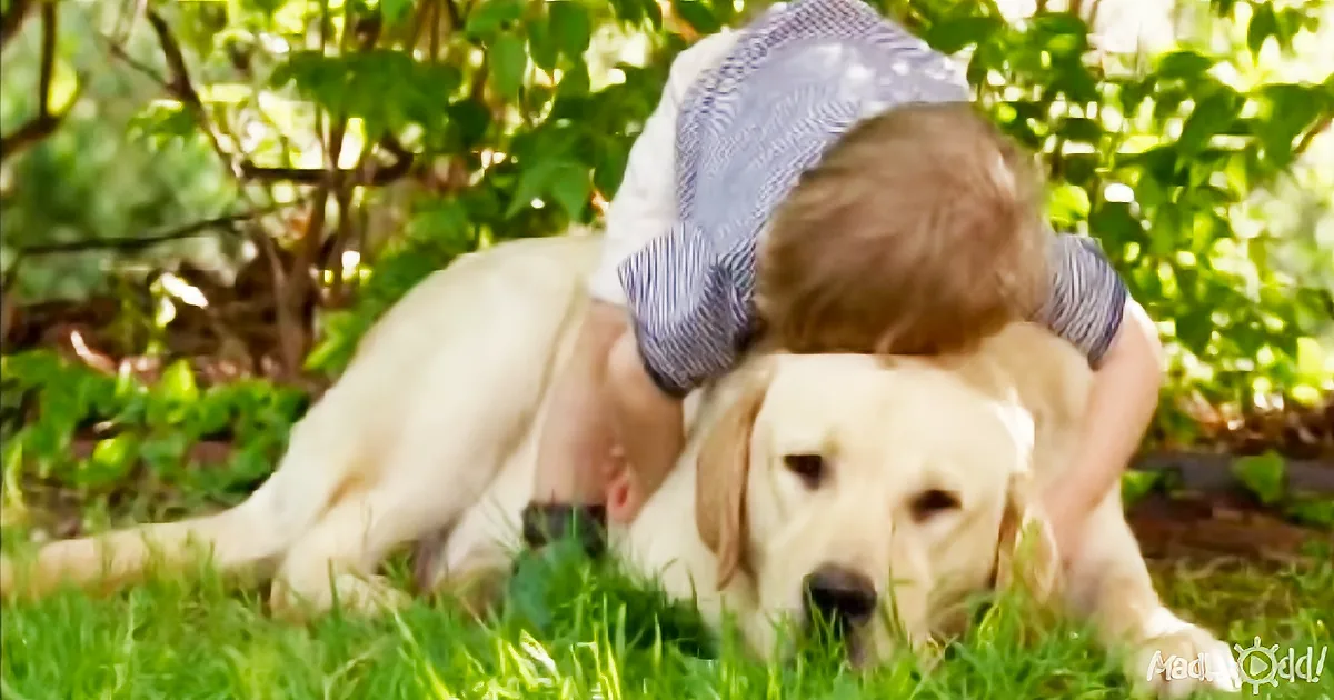 Toddler and Dog Are Best Friends: the Hidden Camera Proves It!
