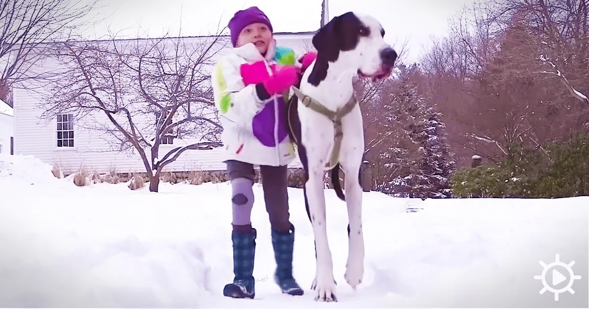 A child in winter gear stands with a large dog in snowy yard, both looking to the right.