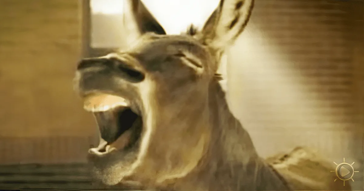 All This Donkey Wants Is to Become a Clydesdales. Now Watch His Next Move!