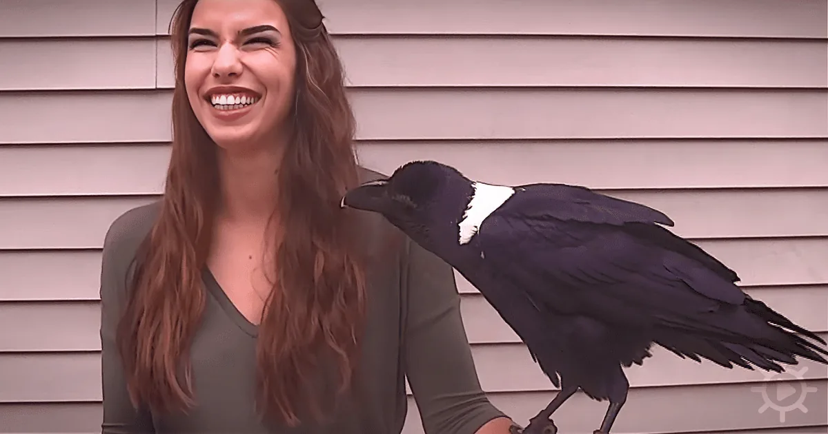 A woman with long brown hair smiles as a black bird perches on her shoulder against a beige wall.