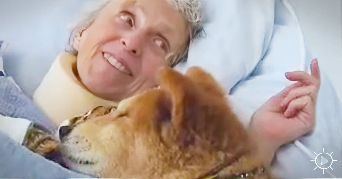 A Bedridden Woman Holds a 19-Year-Old Service Dog Close. the Dog''s Next Move Stuns Them!