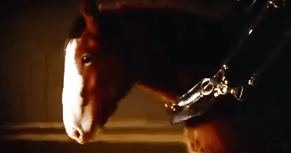 A Smart Little Foal Wants to Join Dad. My Heart Melts When I See His Next Move!