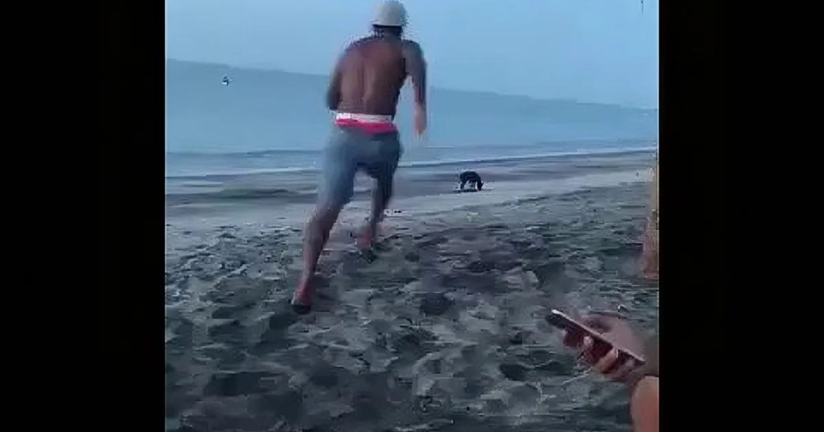 A Young Man Tries to Kick a Stray Dog at the Beach and Gets a Massive Dose of Karma!
