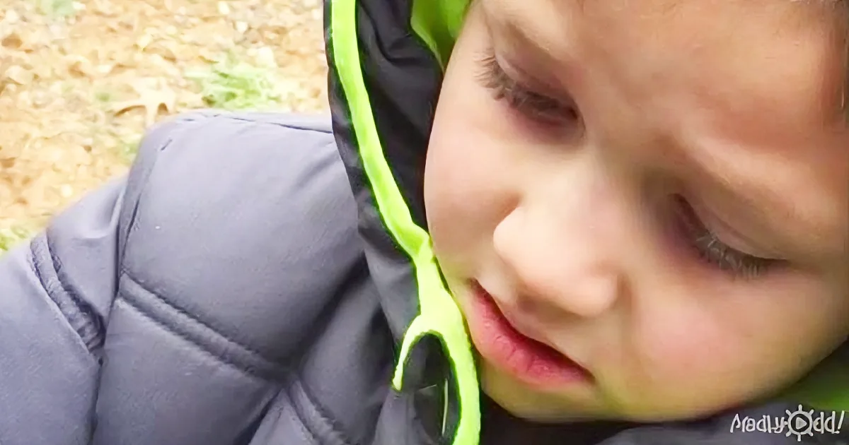 Young Boy Reunited With His Missing Dog - His Reaction Is Heart-Breaking