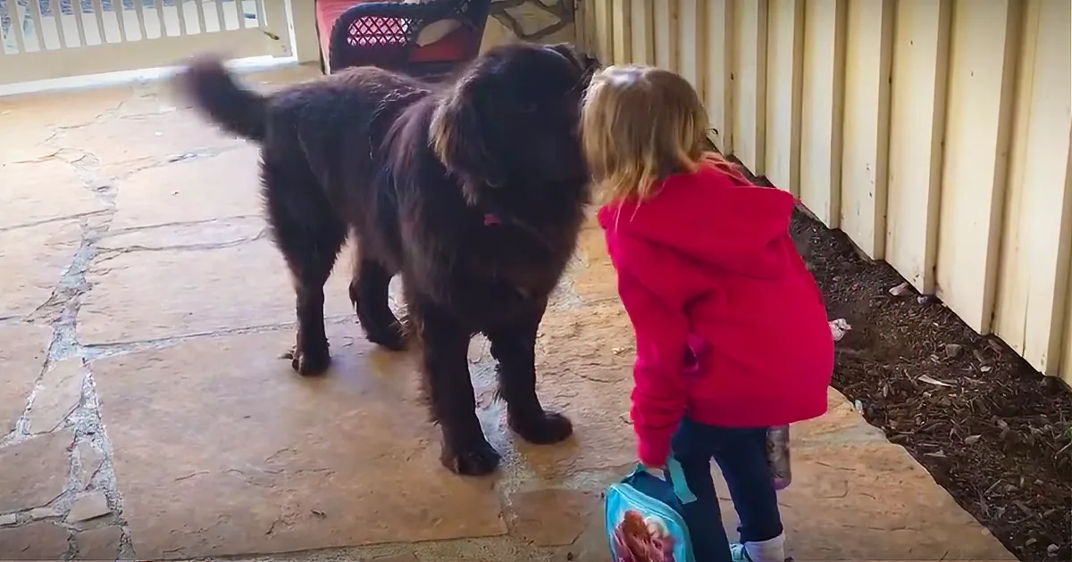 Three Kisses and a Bark: About the Most Charming Morning Routine There Is