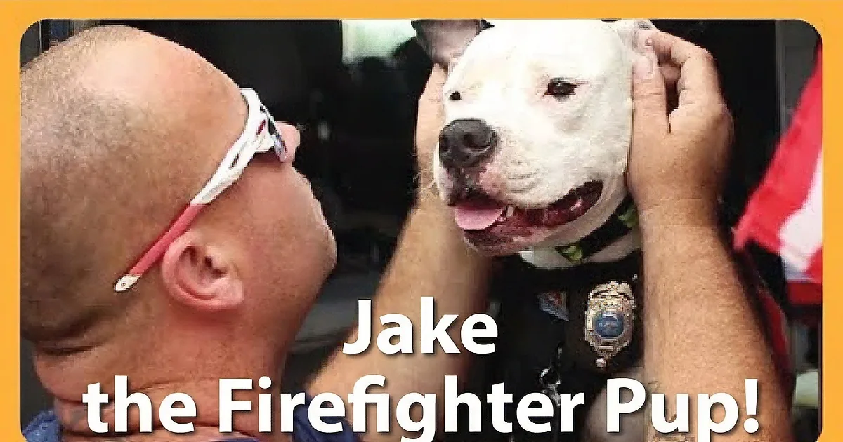A man in sunglasses pets a white dog with a police vest, text overlay mentions "Jake the soft Police Clint."