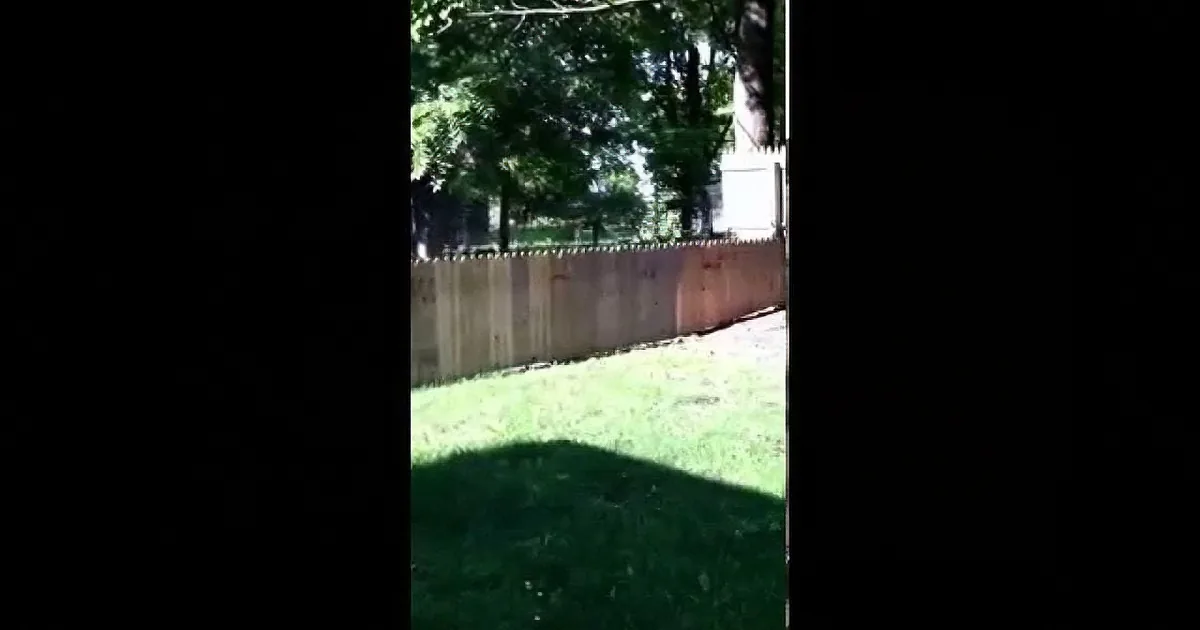 Dad Proudly Builds a Fence to Keep His Dog Safe. Now Watch the Dog Test It!