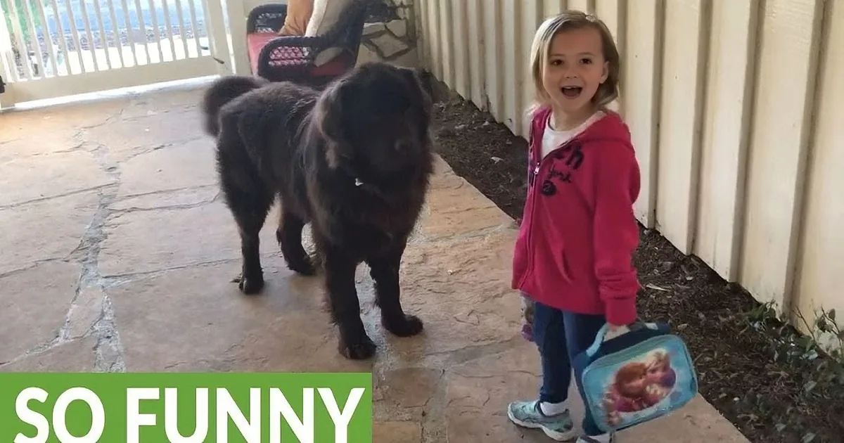 Mom Tells Her Little Girl to Say Goodbye to the Dog. Watch What They Both Do!